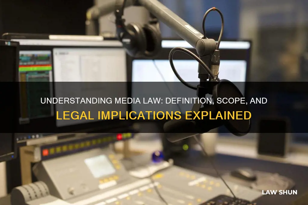what is media law definition