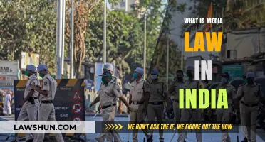 Understanding India's Media Laws: A Guide