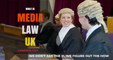 Understanding UK Media Law: Rules and Regulations
