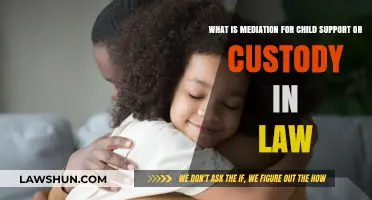 Understanding Mediation for Child Support and Custody in Family Law