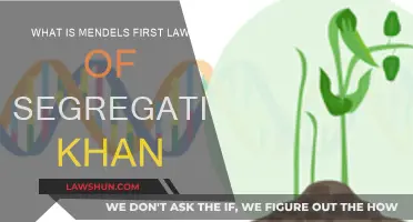 Mendelian Genetics: First Law of Segregation Explained