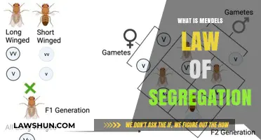 Unraveling Mendel's Law of Segregation: A Genetic Journey