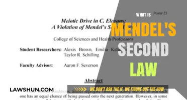 Unraveling Mendel's Second Law: A Deep Dive into Genetic Inheritance