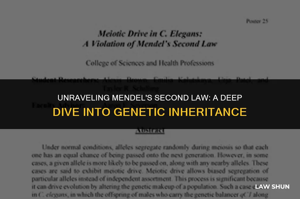 what is mendel
