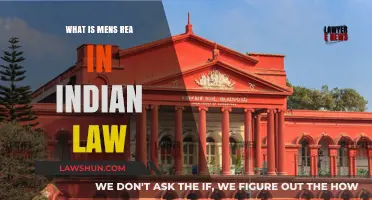 Mens Rea: Understanding India's Criminal Intent Laws