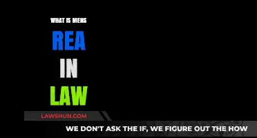 Understanding Mens Rea: The Mental Element in Criminal Law