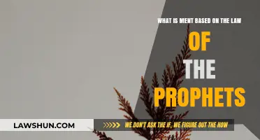 Understanding Mentorship: Insights from the Law of the Prophets