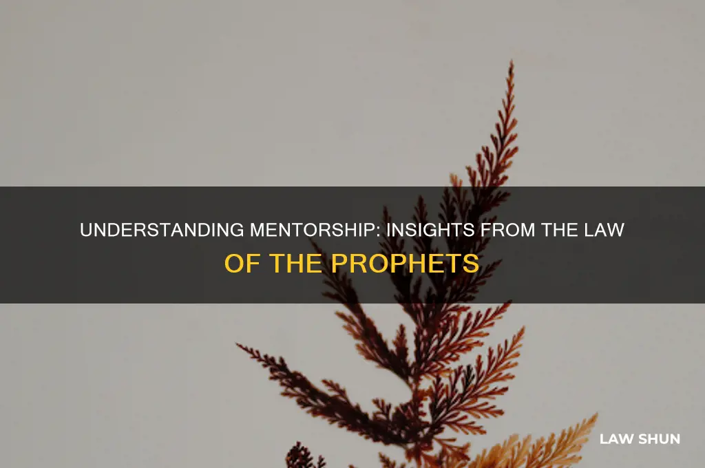 what is ment based on the law of the prophets
