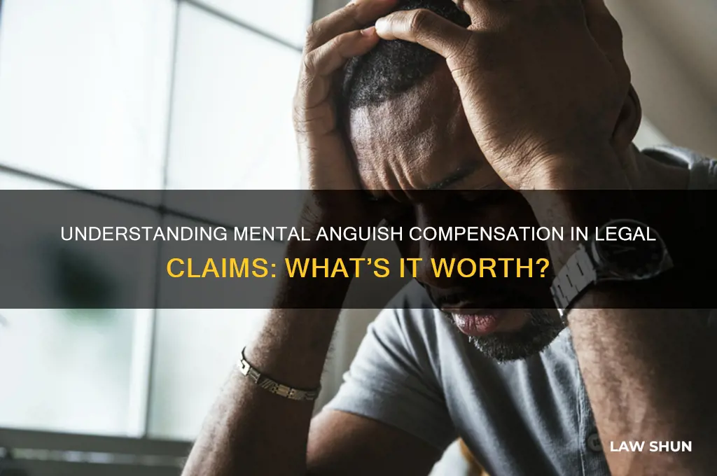 what is mental anguish worth in law suit