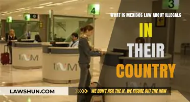Mexico's Immigration Laws: Policies on Unauthorized Entry and Residence