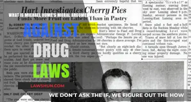 Michael Huemer's Critique: Moral Arguments Challenging Drug Prohibition Laws