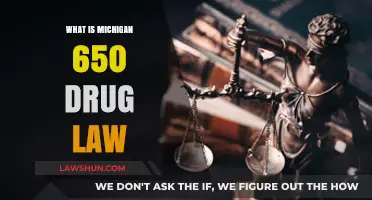 Understanding Michigan's 650 Drug Law: Key Provisions and Implications