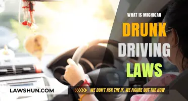 Understanding Michigan's Drunk Driving Laws: Penalties, Limits, and Consequences