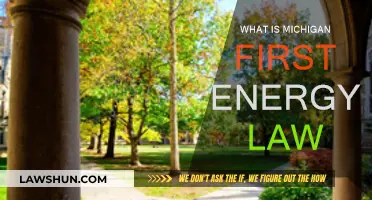 Michigan's First Energy Law: A Comprehensive Overview