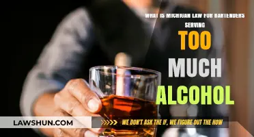 Michigan's Bartender Liability: Serving Alcohol Responsibly Under State Law