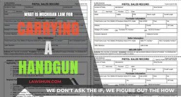Understanding Michigan's Handgun Carry Laws: Requirements and Regulations Explained