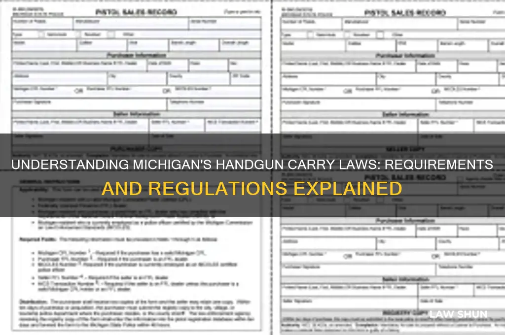 what is michigan law for carrying a handgun