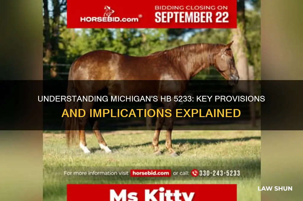 what is michigan law hb 5233