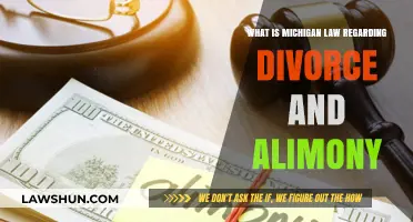 Michigan Divorce & Alimony Laws: Understanding Spousal Support Guidelines