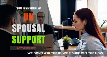 Understanding Michigan Law on Spousal Support: Key Facts and Guidelines
