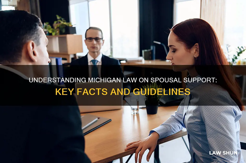 what is michigan law un spousal support