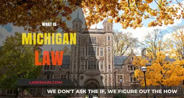 Understanding Michigan Law: Key Principles and Legal Insights Explained
