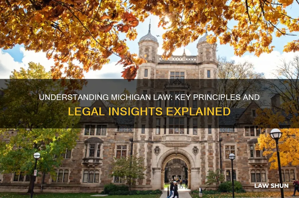 what is michigan law