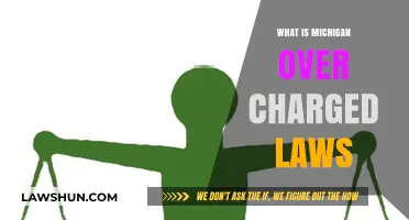 Understanding Michigan's Overcharge Laws: What You Need to Know