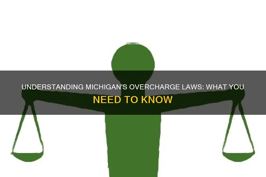 what is michigan over charged laws