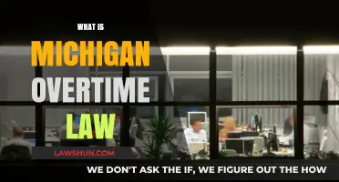 Understanding Michigan Overtime Law: Key Rules and Employee Rights Explained