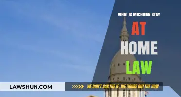 Understanding Michigan's Stay-at-Home Law: Key Details and Compliance Guide