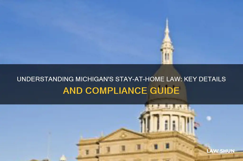 what is michigan stay at home law