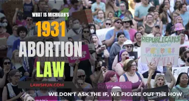 Michigan's Historic Abortion Law: Understanding the 1931 Legislation