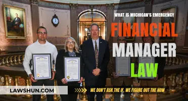 Understanding Michigan's Emergency Financial Manager Law: Powers, Impact, and Controversy
