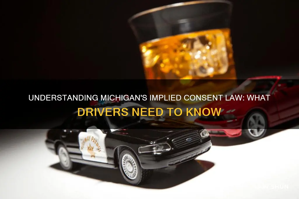 what is michigan