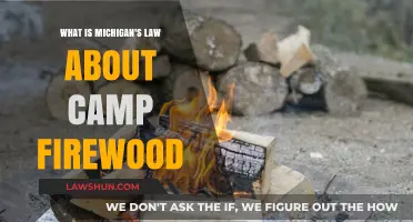 Michigan's Campfirewood Regulations: Understanding Local Laws for Safe Camping