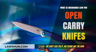 Understanding Michigan's Open Carry Knife Laws: What You Need to Know