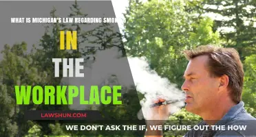 Michigan's Workplace Smoking Laws: What Employers and Employees Need to Know