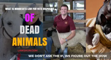 Minnesota Law: Dead Animal Disposal Guidelines for Veterinarians Explained