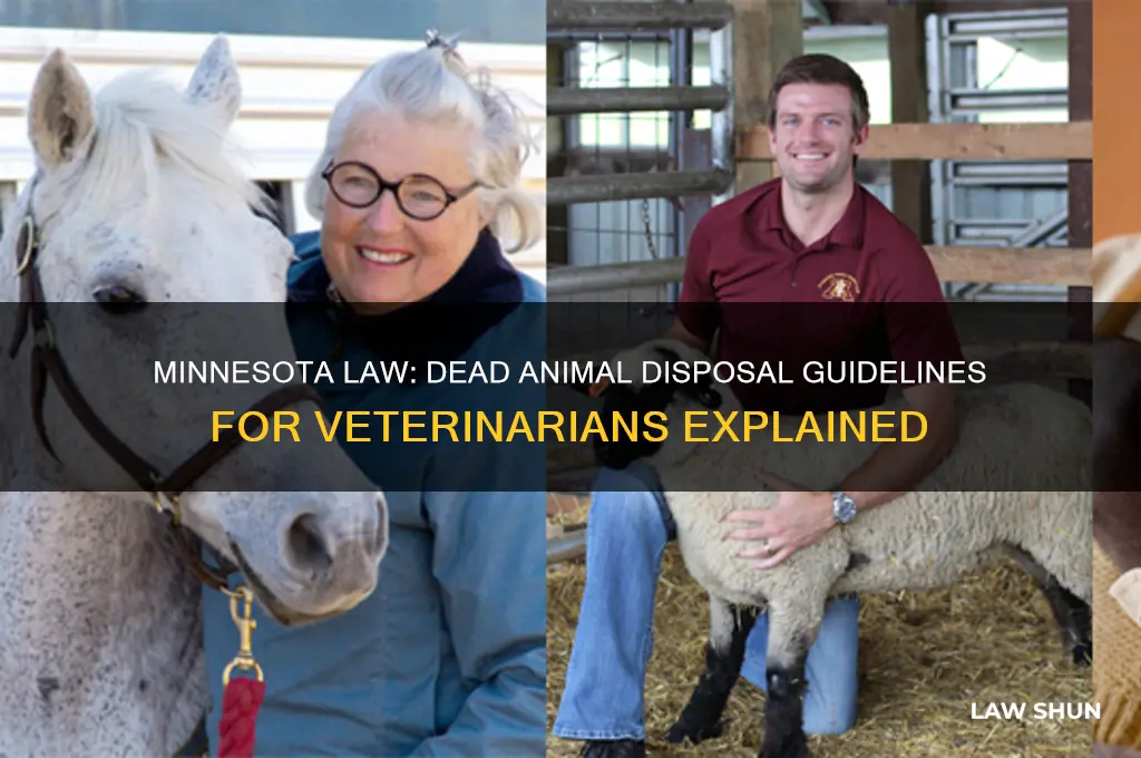 what is minnesota law for vets disposing of dead animals