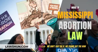 Mississippi Abortion Law: Understanding the Controversial Legislation