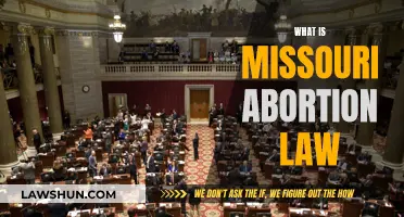 Missouri Abortion Law: Understanding the Complex Legal Landscape