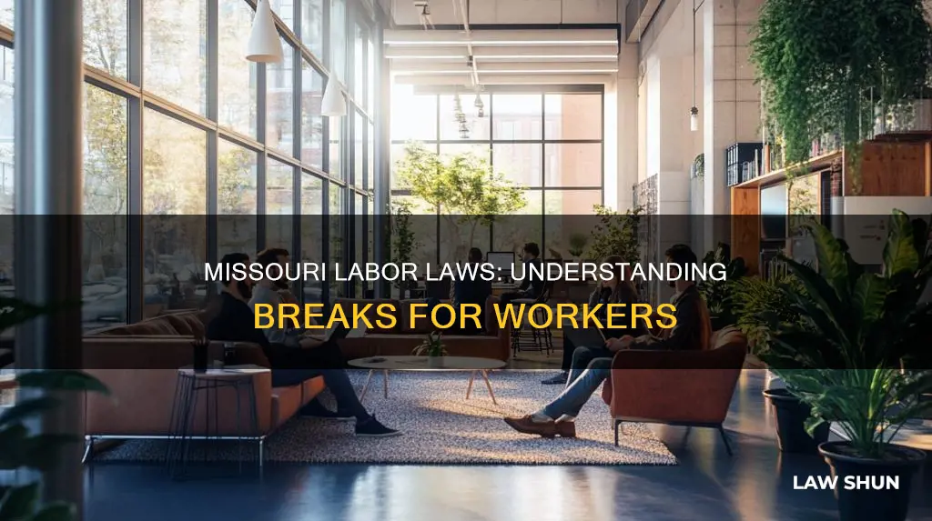 what is missouri labor laws for breaks in love