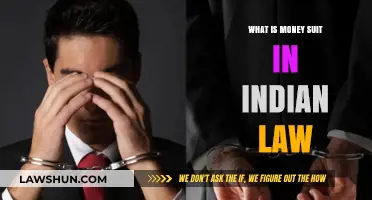 Understanding Money Suit in Indian Law: Key Concepts and Procedures