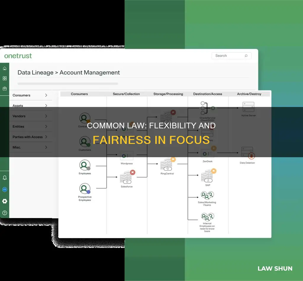 what is most significant about having a common law system