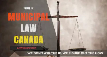 Municipal Law in Canada: Understanding Local Laws and Governance