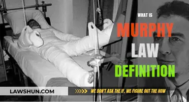 Understanding Murphy's Law: Definition, Origins, and Real-World Applications