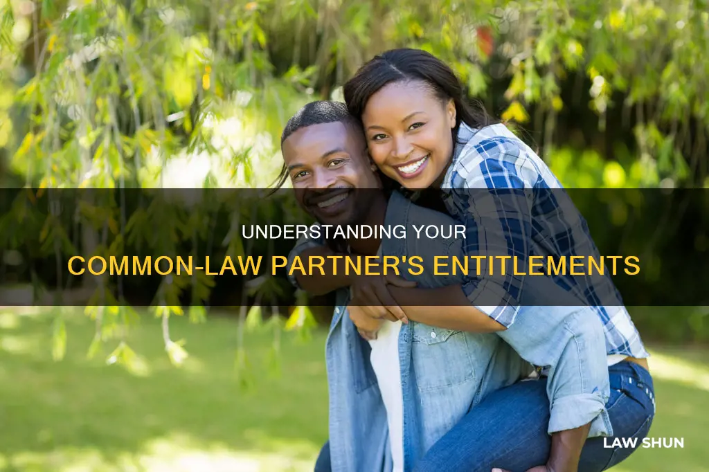 what is my common law partner entitled to