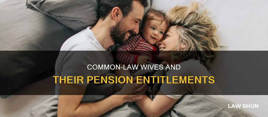 what is my common law wife entitled to my pension