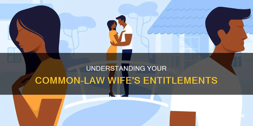 what is my common law wife entitled to